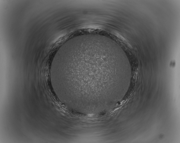 X0000099291014200805090925