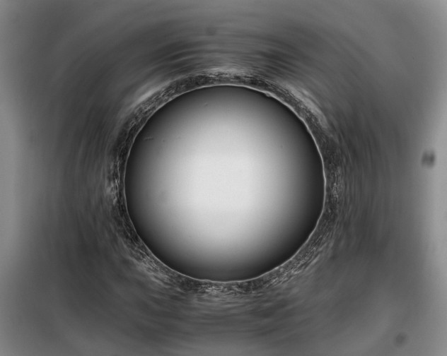 X0000099291015200805090925
