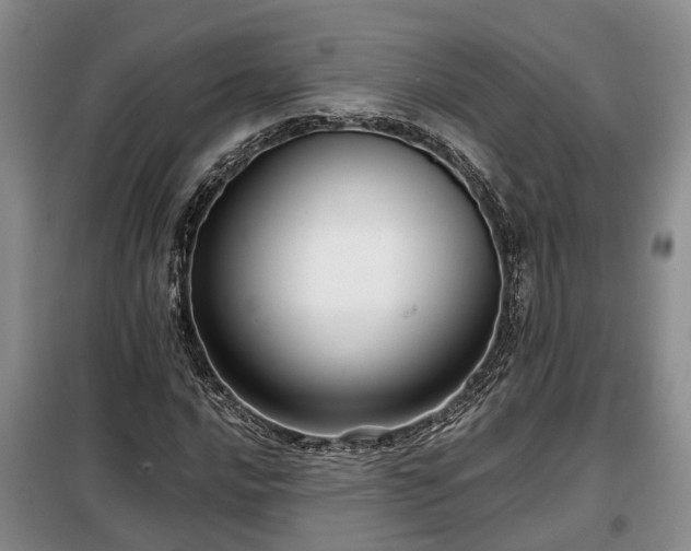 X0000099291016200805090925