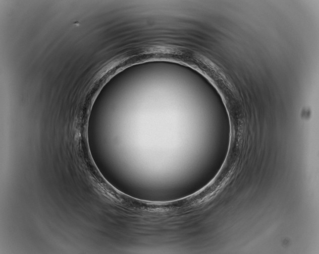 X0000099291017200805090925