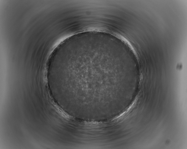 X0000099291019200805090925