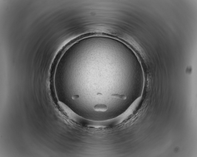 X0000099291020200805090925