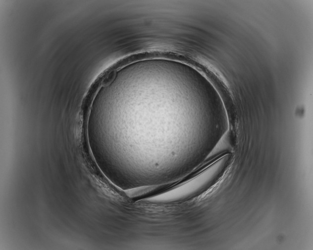 X0000099291021200805090925