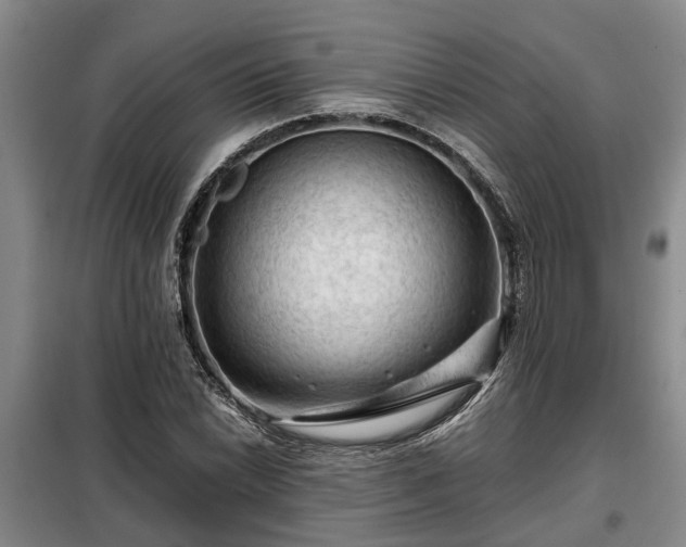 X0000099291022200805090925