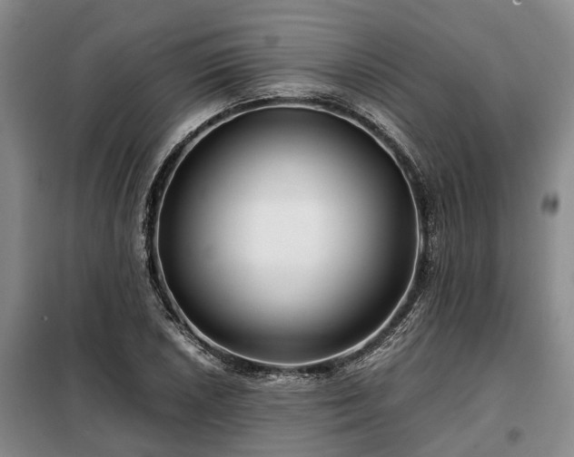 X0000099291026200805090925