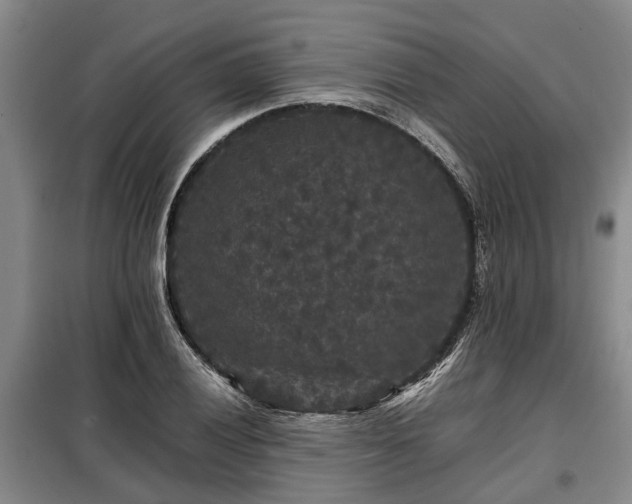 X0000099291028200805090925