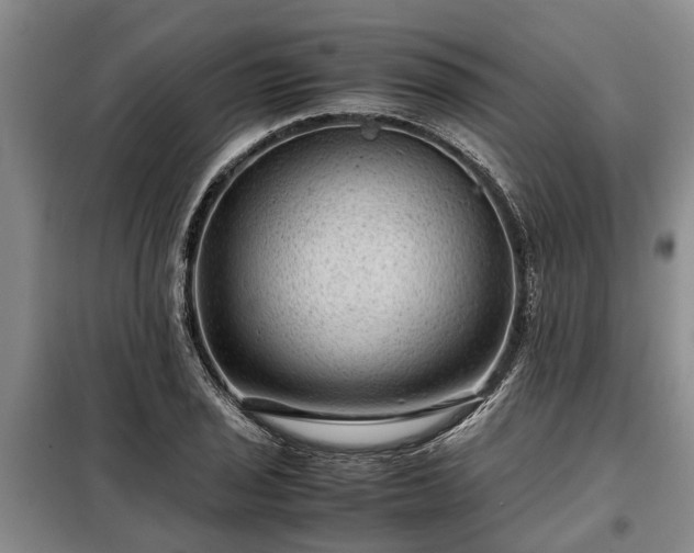 X0000099291029200805090925