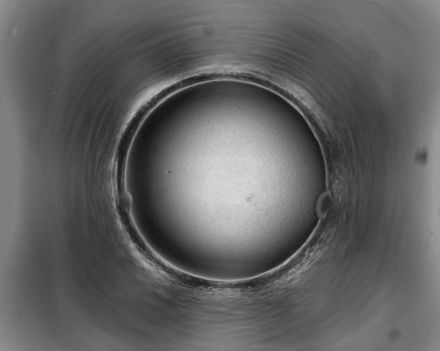 X0000099291030200805090925