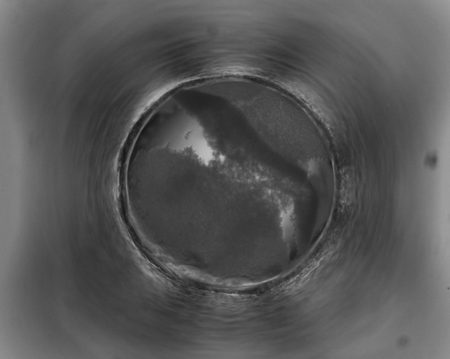 X0000099291031200805090925