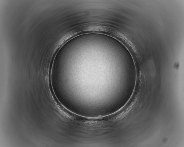 X0000099291033200805090925