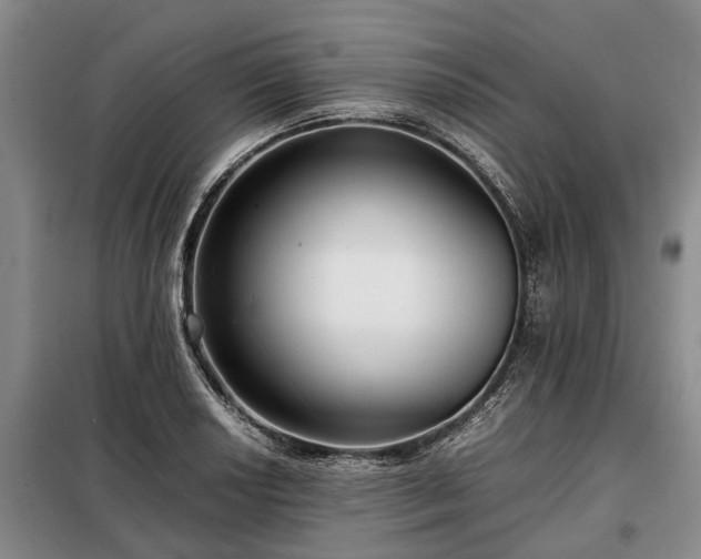 X0000099291034200805090925