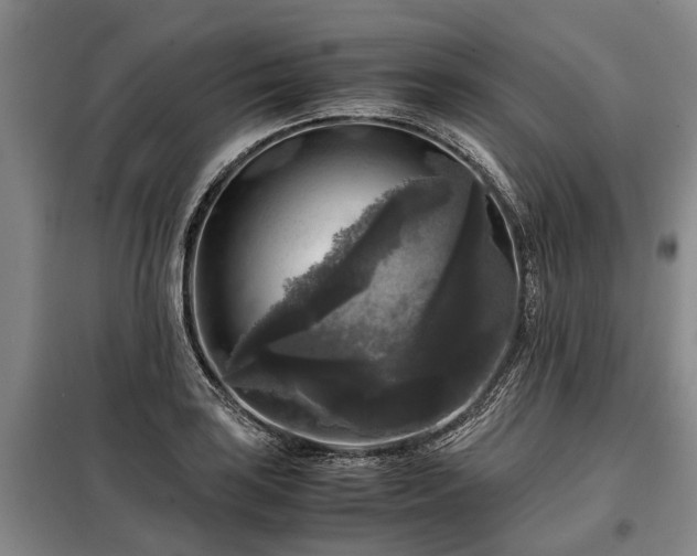 X0000099291035200805090925