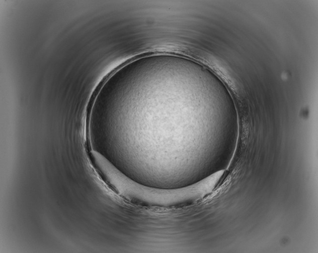 X0000099291036200805090925