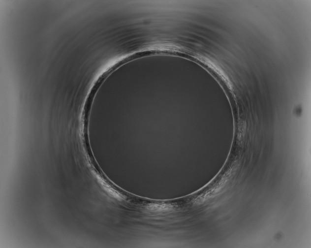 X0000099291037200805090925