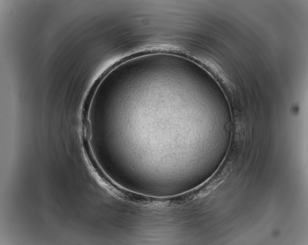 X0000099291038200805090925