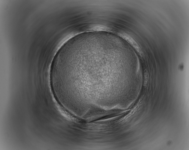 X0000099291039200805090925