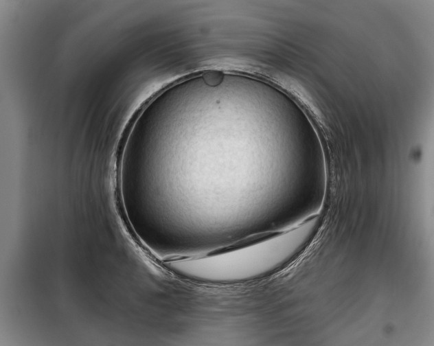 X0000099291040200805090925