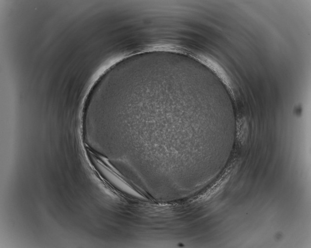 X0000099291043200805090925