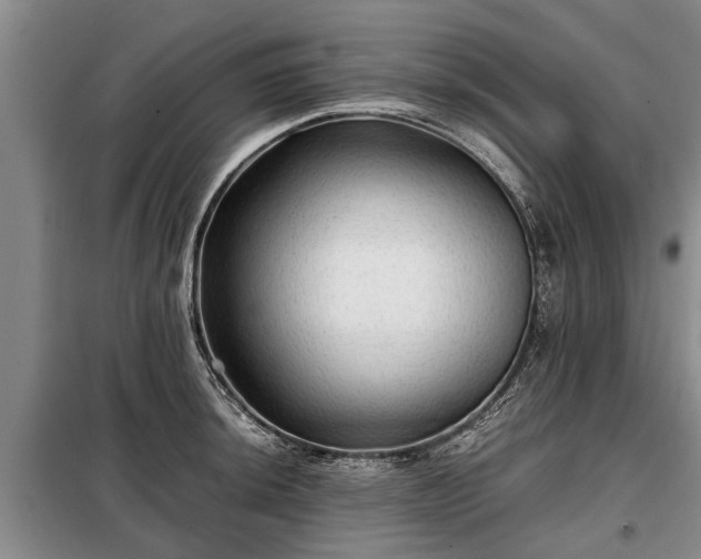 X0000099291044200805090925