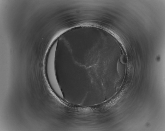 X0000099291045200805090925