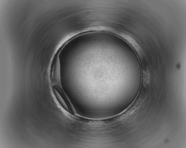 X0000099291046200805090925