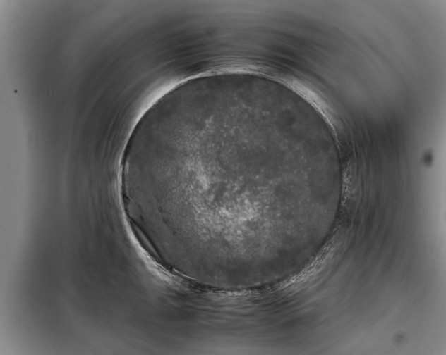X0000099291047200805090925