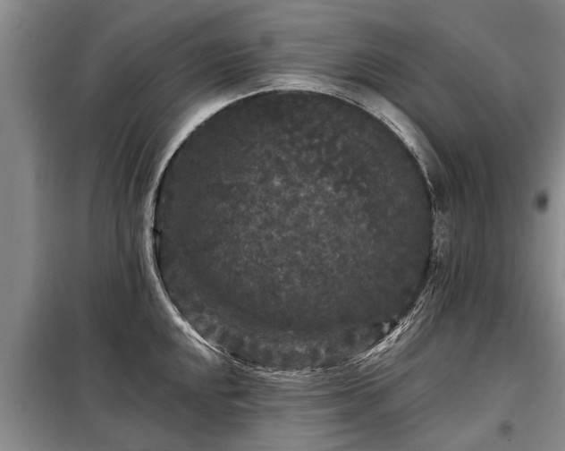 X0000099291048200805090925