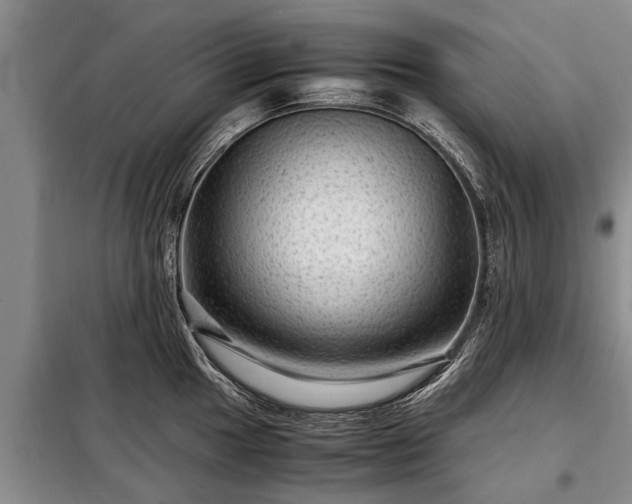 X0000099291049200805090925