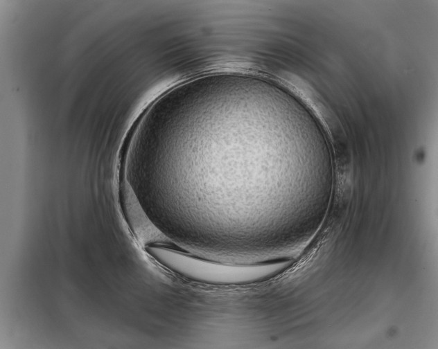 X0000099291050200805090925