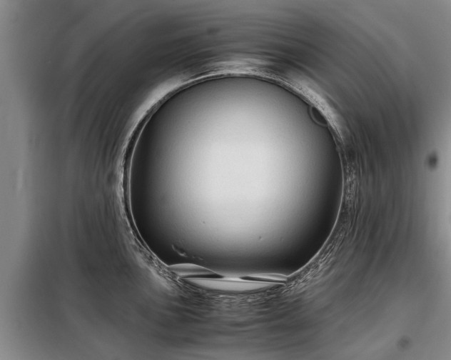 X0000099291051200805090926