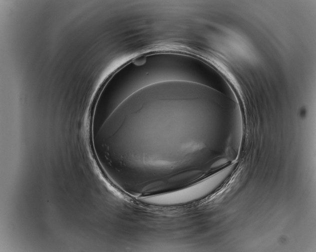 X0000099291053200805090926