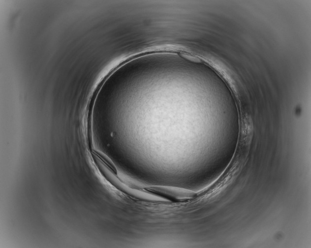 X0000099291054200805090926