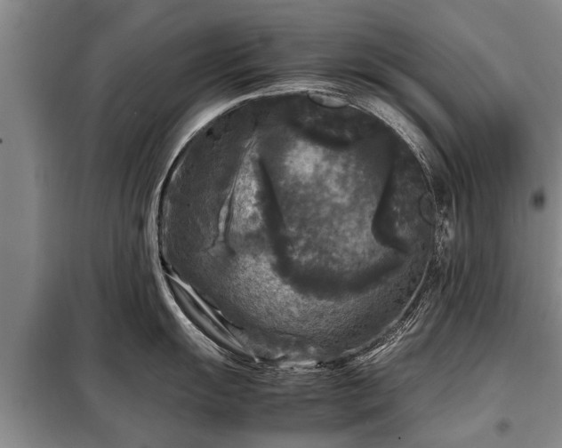 X0000099291055200805090926