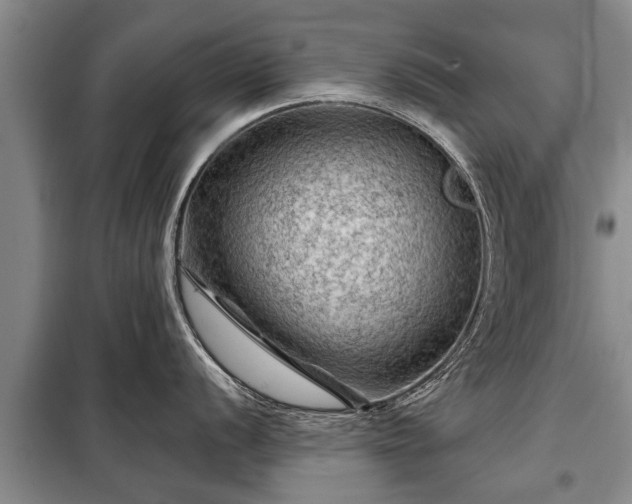 X0000099291056200805090926