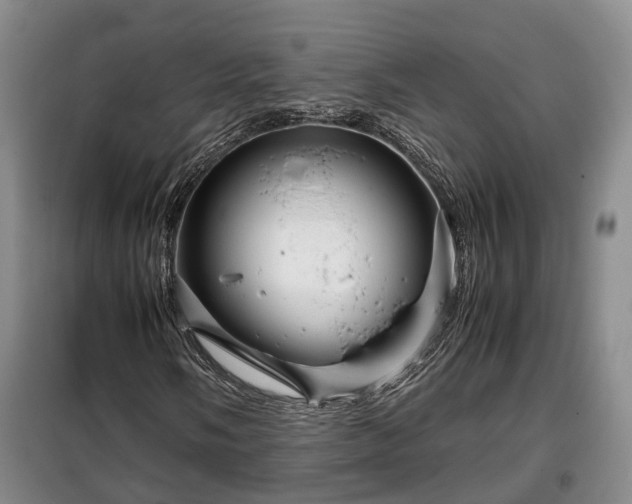 X0000099291058200805090925