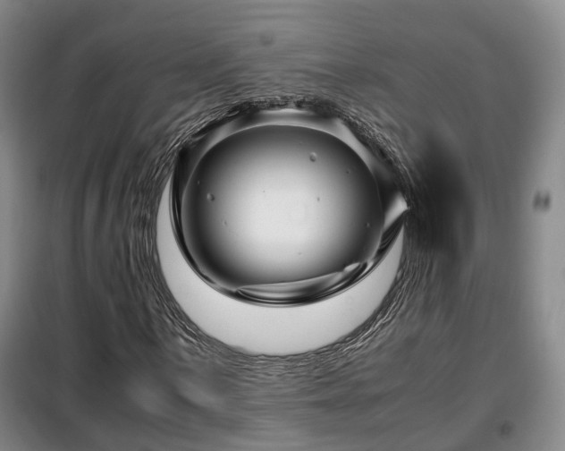 X0000099291059200805090925