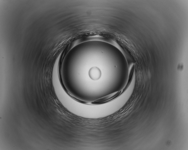 X0000099291060200805090925
