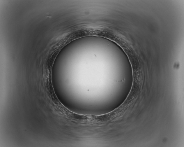 X0000099291061200805090925