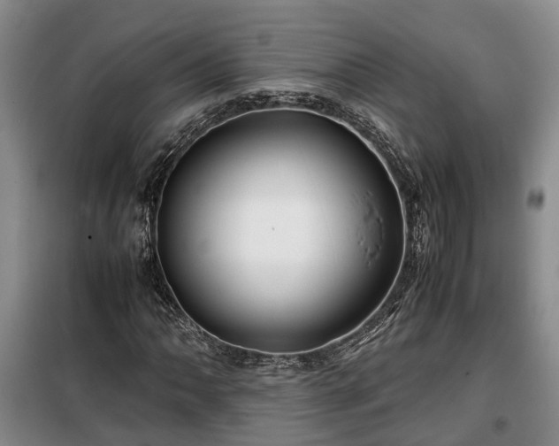 X0000099291062200805090925