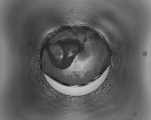 X0000099291063200805090925