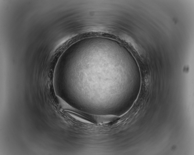 X0000099291064200805090925