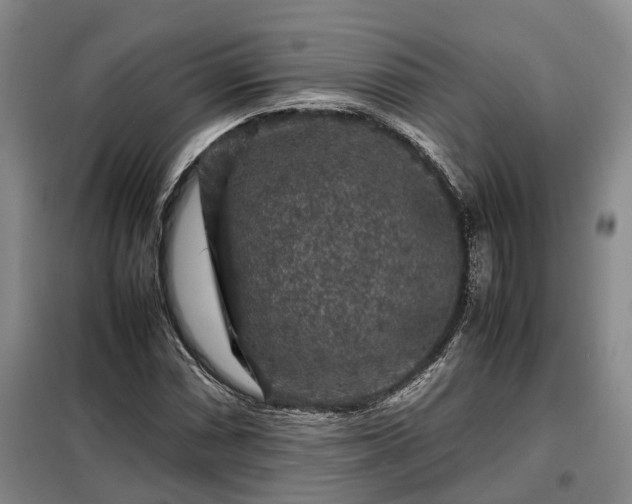 X0000099291066200805090925