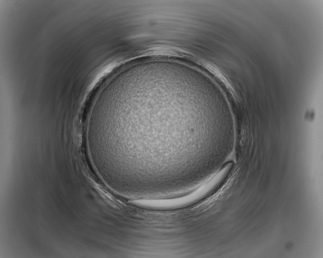 X0000099291067200805090925