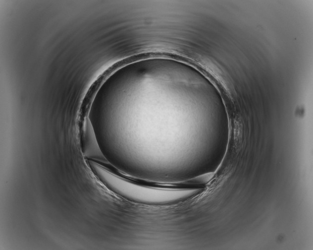 X0000099291068200805090925