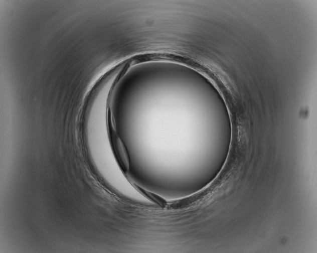 X0000099291069200805090925