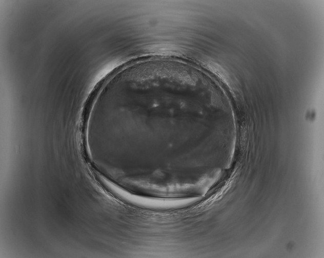 X0000099291071200805090925