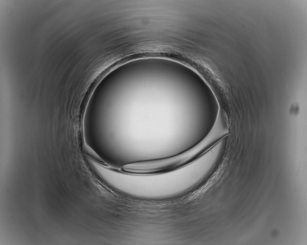 X0000099291073200805090924