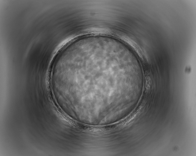 X0000099291074200805090924