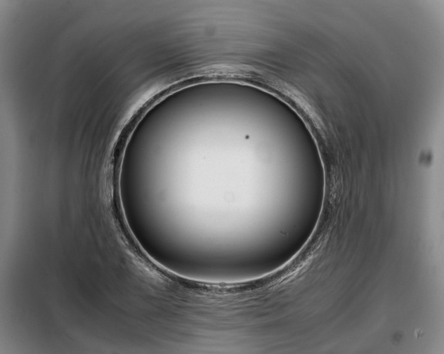 X0000099291075200805090924