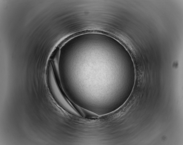 X0000099291076200805090924
